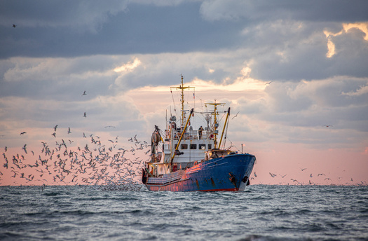 Researchers from the Center for a Livable Future at Maryland's Johns Hopkins University looked at fisheries in Alaska, Norway and Vietnam to explore sustainable practices for fish byproducts. (Adobe Stock)