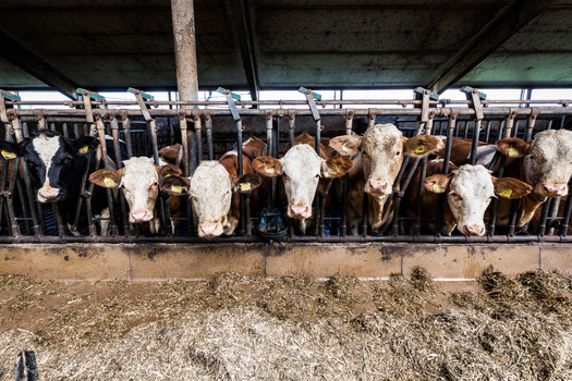 The most recent U.S. Census of Agriculture, from 2022, reported 79% of all farms in Utah are small and family owned, with annual incomes of less than $350,000. (Adobe Stock)