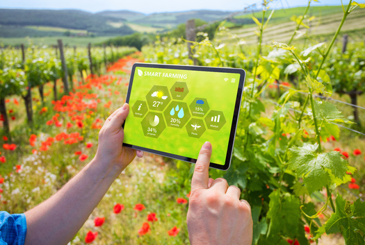 Smart agriculture began to emerge in the United States in the early 2000s, with the introduction of GPS technology, sensors and automated systems. (Kaspars Grinvalds/Adobe Stock)