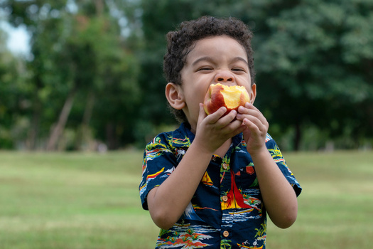 The Texas Department of Agriculture hopes to reach children in rural areas who haven't previously participated in Summer Meal Programs because of transportation barriers. Eligible sponsors in those areas can apply to distribute meals outside of the required group settings and meal service times. (chomplearn_2001/Adobe Stock)