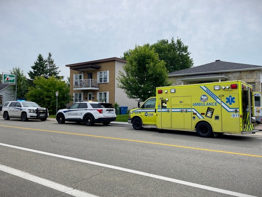 Columbus police reported more than 800 felony domestic-violence incidents in the city last year. (Pascal Huot/Adobe Stock)