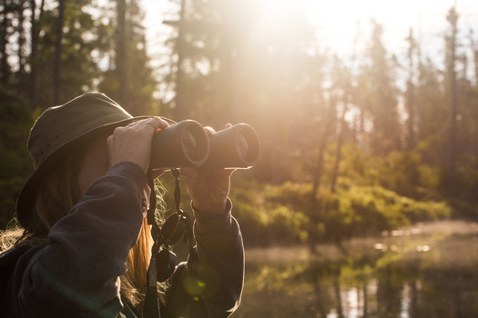 The largest flock identified in the Great Backyard Bird Count was a group of four million bramblings in Germany. (Adobe Stock)