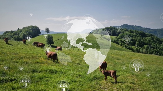 An estimated 26% of the world's greenhouse gas emissions come from food. (Adobe Stock)