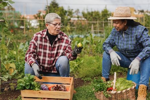 AARP Community Challenge grants have helped launch community gardens, which help improve livability for residents in a number of ways. (Adobe Stock)