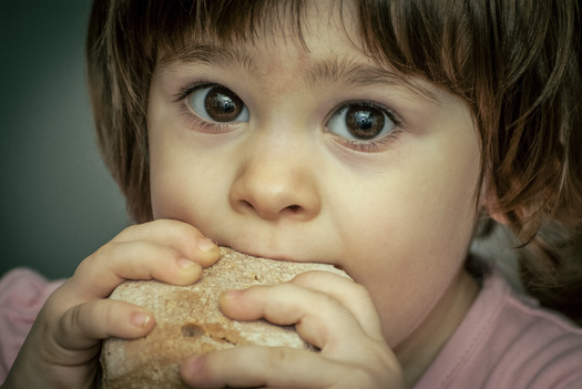 According to a new survey from Feeding Indiana's Hungry, seven in 10 Hoosiers have skipped meals in the last year because they did not have enough food. (Adobe stock)