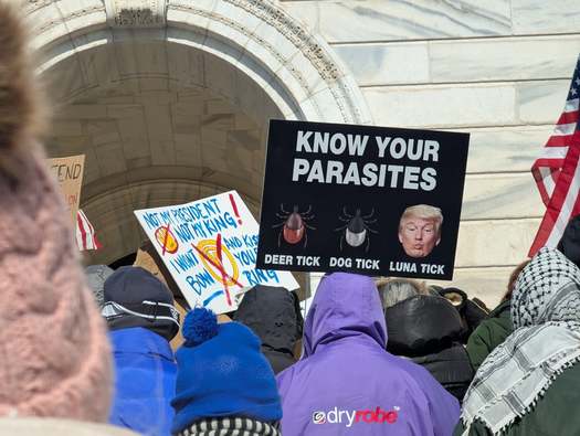 Escena desde el exterior del Capitolio en Minnesota el lunes, cuando se llev a cabo otra ronda de protestas nacionales en respuesta a las controvertidas acciones de la administracin del presidente Donald Trump desde su toma de posesin. (Cortesa de u/Buck_Thorn/Reddit)