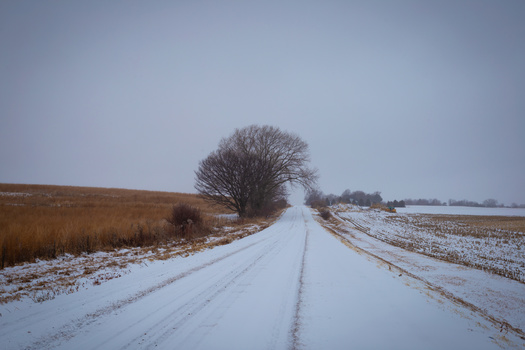 A recent University of Nebraska poll found 12% of people spend a month or more feeling depressed during the winter months, characterized by long, dark days often accompanied by bitter cold temperatures. (Adobe Stock) 