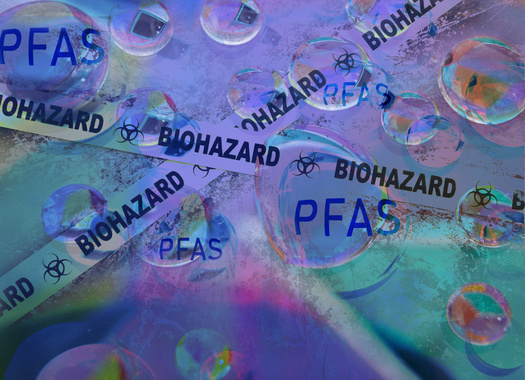 When biosolids containing PFAS are used as fertilizer, the chemicals leach into soil and groundwater, and are then taken up by plants, which are then consumed by humans, livestock and wildlife. (zimmytws/Adobe Stock)