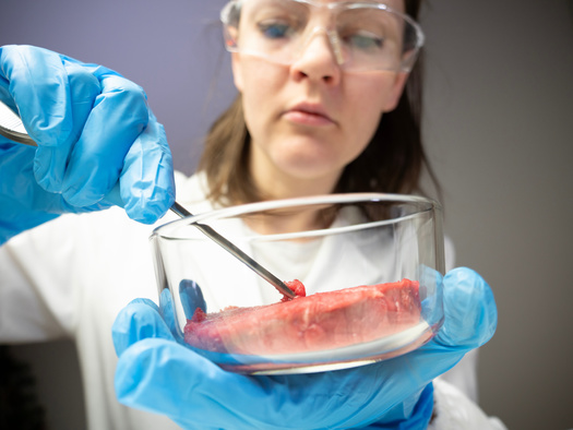 In the United States, as many as 64% of consumers demonstrate no familiarity at all with cultivated meat, while roughly 10% are very or extremely familiar with the concept. (Adobe Stock)