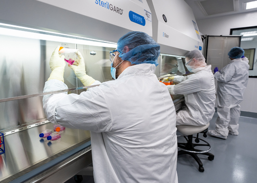 Data from Penn Medicine finds as of January 2024, more than 30,000 people in the U.S. have received CAR T-cell therapy since it was approved for use in 2017. (Roswell Park Comprehensive Cancer Center)