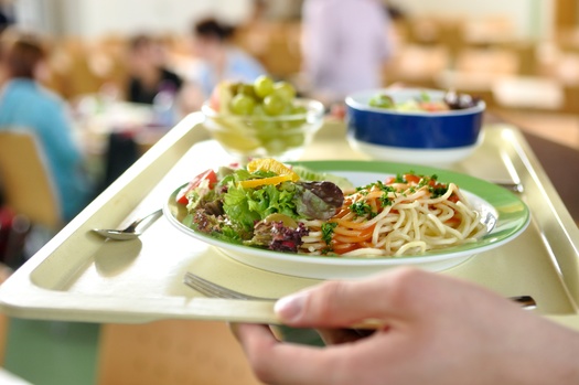 According to the National Library of Medicine, most studies examining universal free school meals, including free lunches, found positive links with diet quality, food security and academic performance. (Adobe Stock)