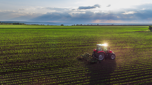 President Donald Trump imposed tariffs on imports from China earlier this month and the Chinese government imposed 15% counter tariffs on goods imported from the U.S. into China. (Adobe Stock)