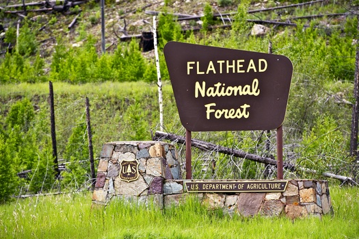 According to the 2025 Conservation in the West Poll, 86% of Montanans prefer decisions about public lands, water and wildlife be made by career professionals including rangers, scientists and firefighters, rather than officials appointed from other industries. (U.S. Forest Service)