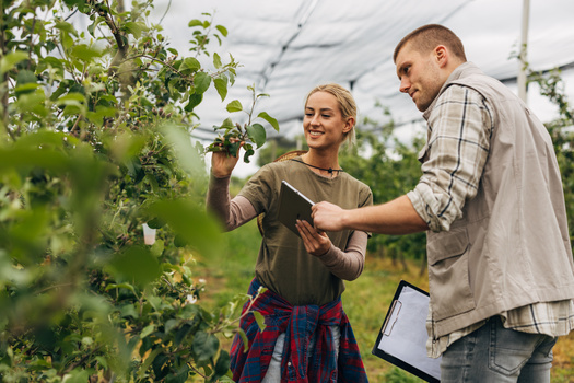 The Northern Agricultural Center of Excellence told a Minnesota House committee this week nearly 30% of today's farmers have less than a decade of experience, making the case business training needs to be enhanced. (Adobe Stock) 