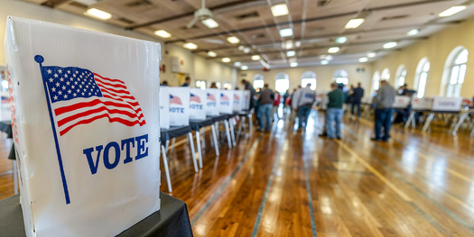Nationwide, about 146 million American citizens do not have passports. About 153 million Americans cast a ballot in the 2024 presidential election, according to the Center for American Progress. (Adobe Stock)