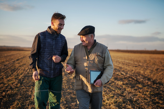 Young farmers face financial barriers and limited access to farmland. Older farmers are now considering who they will pass their land on to when they retire. (Adobe Stock)