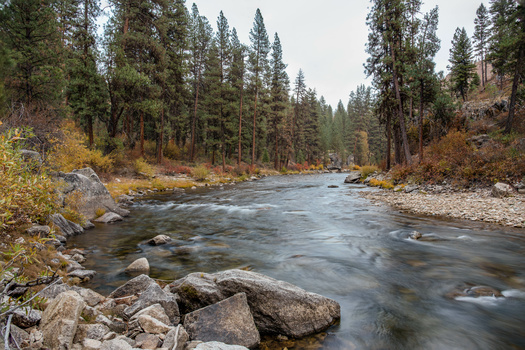 More than half of respondents to a new poll in Idaho said habitat loss is a problem for fish and wildlife. (OLya_L/Adobe Stock)