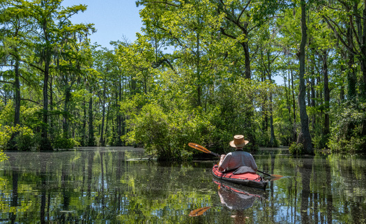 North Carolina's congressional score in the League of Conservation Voters' scorecard went down between 2023 and 2024. (Gerry/Adobe Stock)