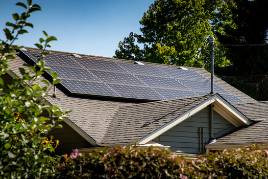 The U.S. Energy Information said Kentucky's largest utility-scale solar photovoltaic generating facility is a 55-megawatt solar farm that came online in mid-2024, about 40 miles east of Bowling Green. (Adobe Stock)