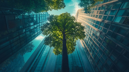 Some 36% of S&P 500 companies participate in carbon offsetting, according to the website CarbonNeutral.com.  (Adobe Stock/generated with AI)