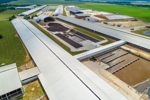 A concentrated animal feeding operation is a facility where animals have been, are or will be stabled or confined and fed, or maintained for a total of 45 days or more in any 12-month period. (Lost_in_the_Midwest/Adobe Stock)