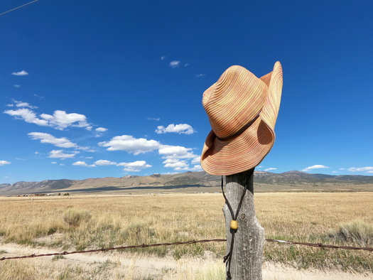 Around seven in 10 Democrats expect the affordability of health care, food and consumer goods, and housing to worsen over the next year, according to the Pew Research Center. (Adobe Stock)