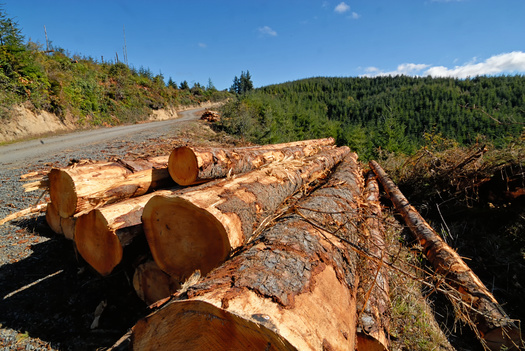 Oregon's lumber output of more than 6 billion board feet in 2021 accounted for about 17% of total U.S. production. (Kirk/Adobe Stock)