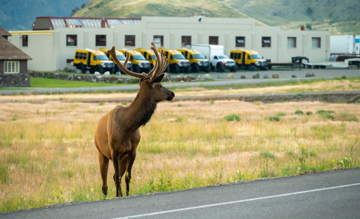 The Oregon Department of Fish and Wildlife and the Oregon Department of Transportation mapped out wildlife collision 
