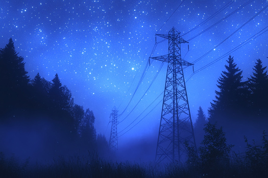 Many fusion startups have their sights set on being able to power the electrical grid by the 2030s and 2040s.(Adobe Stock) 