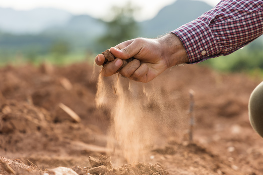 Climate experts say drought can reduce both the availability and quality of water necessary for productive farms, and can also lead to insect outbreaks. (Adobe Stock)