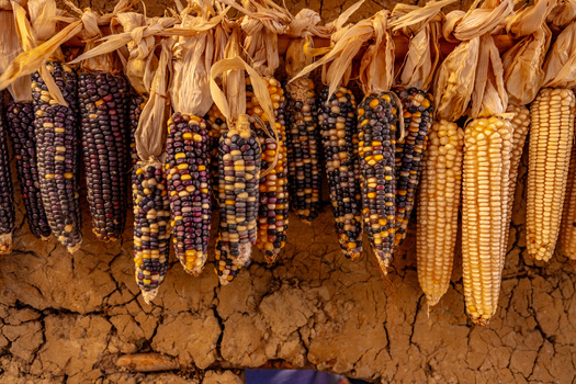 The Food Bank of Wyoming served people across 97,903 square miles and in all 23 counties in 2024, according to the organization's impact report. (Adobe Stock)