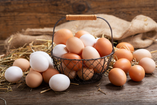Nationally, the average cost of a dozen large eggs was $4.15 in December, up from $3.65 in November, according to data from the U.S. Bureau of Labor Statistics. (Nitr/Adobe Stock)