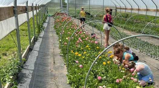 Engelbrecht Farm in Waverly, Iowa, uses insects to keep pests at bay, improve soil health and increase pollination. (Engelbrecht Farm)