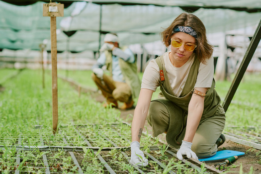 When looking for job training, 74% of urban Gen Zers strongly agree or agree that they could access the needed training, compared with 62% of rural Gen Zers, according to Gallup. (Adobe Stock) 