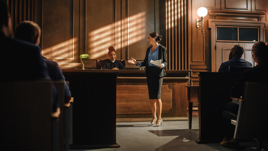 Beginning in 2024, the Allegheny County Public Defender's office uses 175% of the Federal Poverty guidelines as income requirements for its clients. (Gorodenkoff/AdobeStock