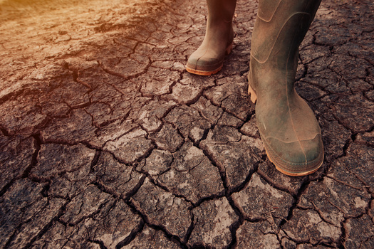 The findings of a study on farmer's reactions to drought conditions will provide valuable insights to help shape more sustainable agricultural practices and water conservation strategies. (Bits and Splits/Adobe Stock)