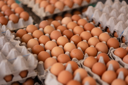 The combination of inflation and avian influenza has caused egg prices to rise more than 350% per dozen compared to last year, according to the American Farm Bureau. (Adobe Stock)