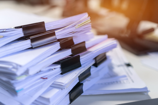 Marissa Carpio with the Wyoming-based Equality State Policy Center estimated one of every 10 bills in Wyoming's 2025 legislative session were related to elections. (Adobe Stock)
