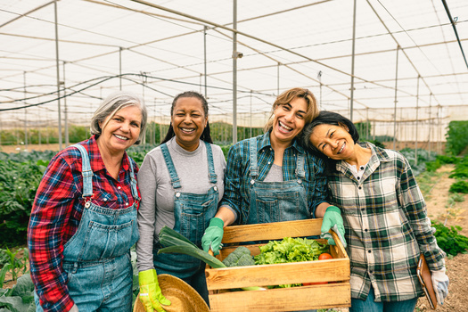 Midwest researchers say a deduction in the 2017 federal tax cut law has boosted the economic activity generated by agriculture cooperatives. In 2022, they say it led to $1.25 billion in economic impact in South Dakota, North Dakota, and Minnesota. (Adobe Stock)