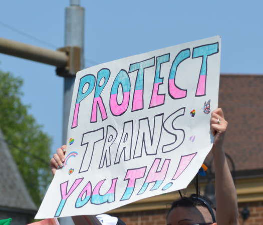About one-third of the legislation targeting trans people's rights across the country is focused on schools. (vivalapenler/Adobe Stock)