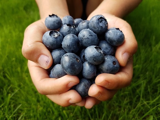 Nearly one in eight Mississippi residents relies on the food assistance program, which faces $230 billion in proposed federal cuts. (Pixabay)