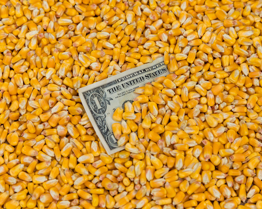 Economists with the American Farm Bureau Federation said there are still unknowns but it is clear the escalating trade war will decrease demand for U.S. products in the second- and third-largest export markets for American farmers. (Adobe Stock)