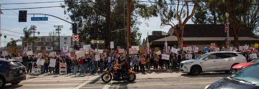 Protestors lined the streets of North Hollywood on Feb. 17 for a 