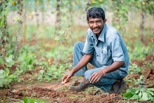 USDA data show Black farmers have lost 90% of their land since 1910, while Florida has lost more than 300,000 acres of farmland since 2017. (Pixabay)
