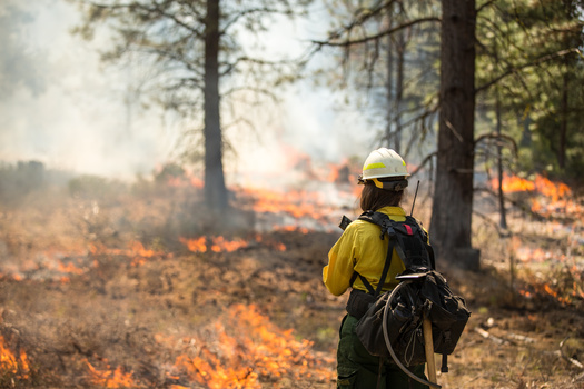 For 2025, 14 women's wildland firefighter boot camps were scheduled, including 12 with the U.S. Forest Service and one each with the Bureau of Land Management and the National Park Service. All have been canceled. (Adobe Stock)