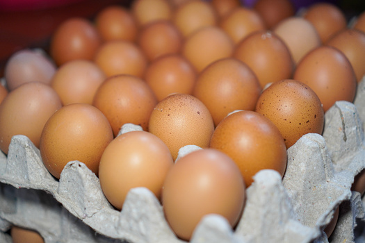 In 2022, U.S. sales of poultry and eggs totaled $76.5 billion, 14.1% of total U.S. agriculture sales.(Adobe Stock)