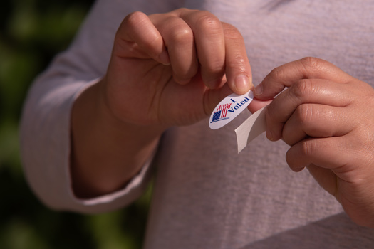 The U.S. Constitution specifies Congress and the states can set the rules for our elections, not the president. (Adobe Stock) 