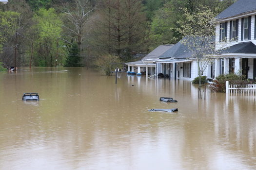 Flooding in Frankfort almost reaches a basketball net Sunday as the Kentucky River is expected to keep rising. (Liam Niemeyer/Kentucky Lantern)