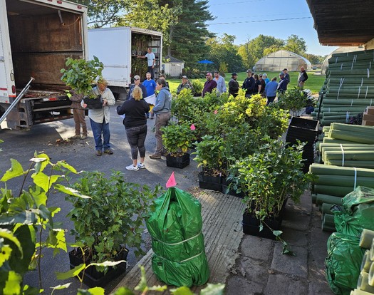 The Chesapeake Bay Foundation plans to directly fund and distribute roughly 90,000 trees and critical tree sheltering supplies for Pennsylvania this spring, with an additional 100,000 planned for the fall planting season. (Chesapeake Bay Foundation)