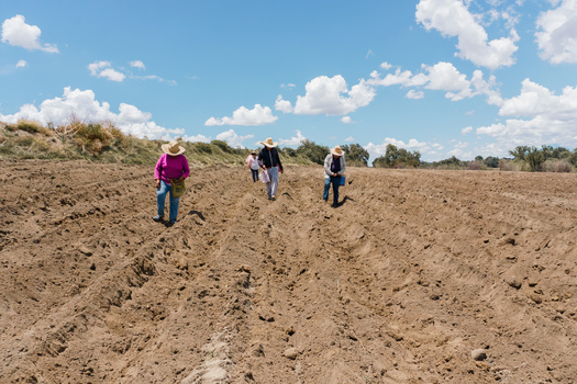 Residents of rural counties with a large share of tribal lands are more likely to rely on Medicaid for coverage for all age groups, including seniors, according to the Georgetown University Center for Children and Families. (Nailotl/Adobe Stock)